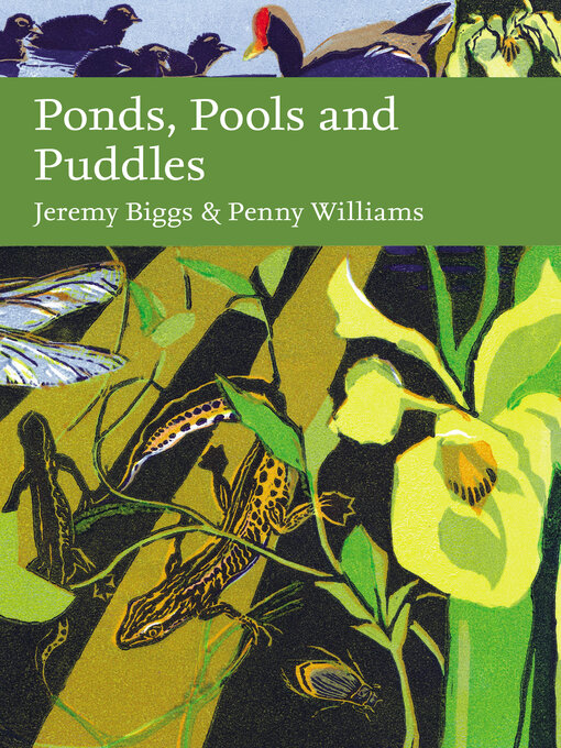 Title details for Ponds, Pools and Puddles by Jeremy Biggs - Available